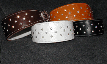 whippet med strass